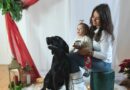 Soutěž: Speciální vánoční menu pro Vaše domácí mazlíčky v podobě českého kapra