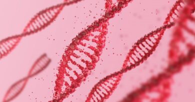 Vědci objevili nové funkce starého proteinu při opravě poškozené DNA